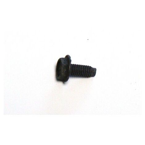 691698 - Vis pour moteur BRIGGS ET STRATTON