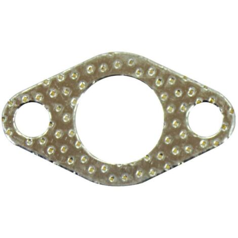 Joint BRIGGS ET STRATTON 710082