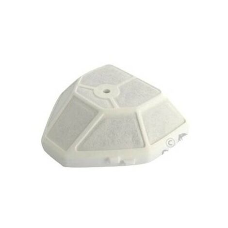 A226001610 - Filtre à air pour Tronçonneuse ECHO (1/2)