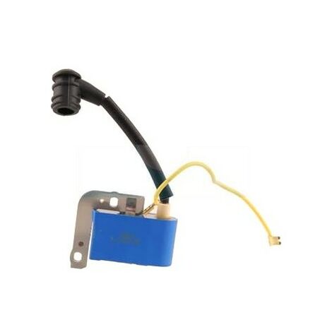 Pièces Détachées Pour Bobine Allumage Tronçonneuse