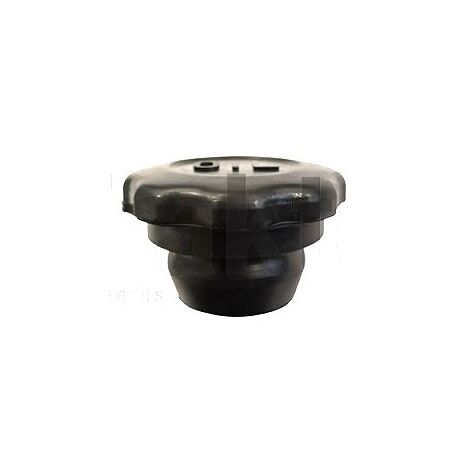 6211-751-001-10 - Bouchon de Remplissage d'huile pour Tondeuse Autoportée ISEKI