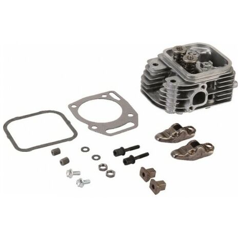 809186 - Culasse pour moteur Briggs et Stratton