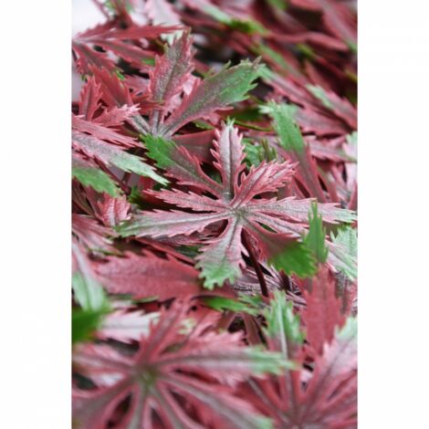 BONERVA MAL1207 ARCE OTOÑO Jardín Vertical Artificial Pack 4 Piezas 50x50 cm - ref: MAL1207