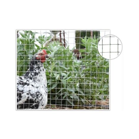 Faura - MALLA METALICA C/GALV. 19mm - 1,05mm 0.5x10 m - 0.5x10 m - (1/2)
