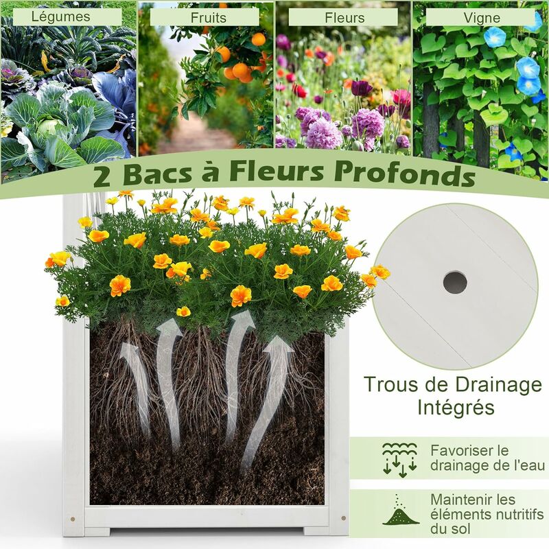 Support Plantes Grimpantes Solar Umbrella - JARDI AISNE- Animalerie,  Jardinerie, Pépinière, Décoration