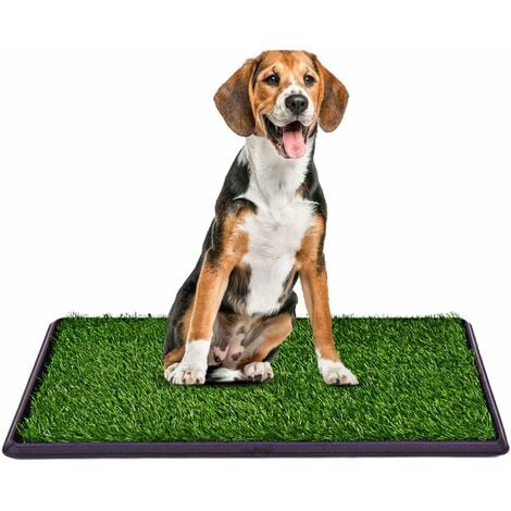 Acheter un tapis pour chiens pour votre voiture ? Pratique et résistant !