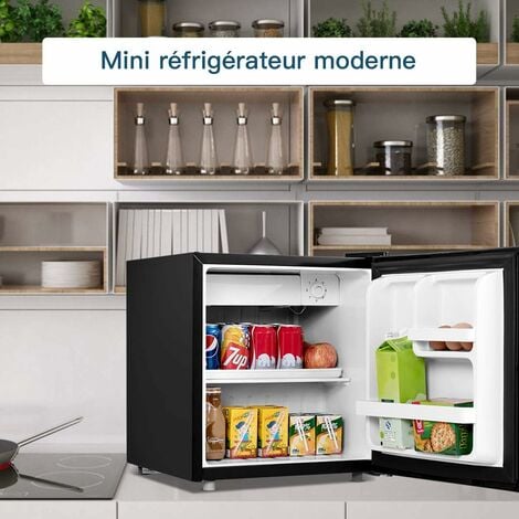 RELAX4LIFE Mini frigo 46L avec Congélateur Porte Réversible, Mini  Réfrigérateur Température Réglable 0 à 10°