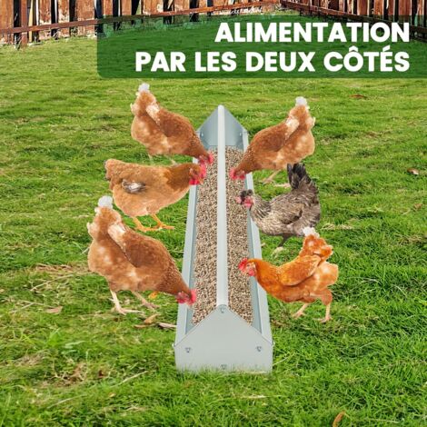 JonesHouseDeco Boîte à œufs de poule à 4 trous en métal pour poulailler, à suspendre, robustesse JonesHouseDeco Boîte à œufs de poule à 4 trous en métal pour poulailler, à suspendre, robustesse