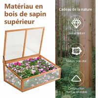 COSTWAY Mini Serre de Jardin en Bois 100x65x40CM Plateau Supérieur Amovible Vitrage Transparent en Polycarbonate pour Jardin/Balcon