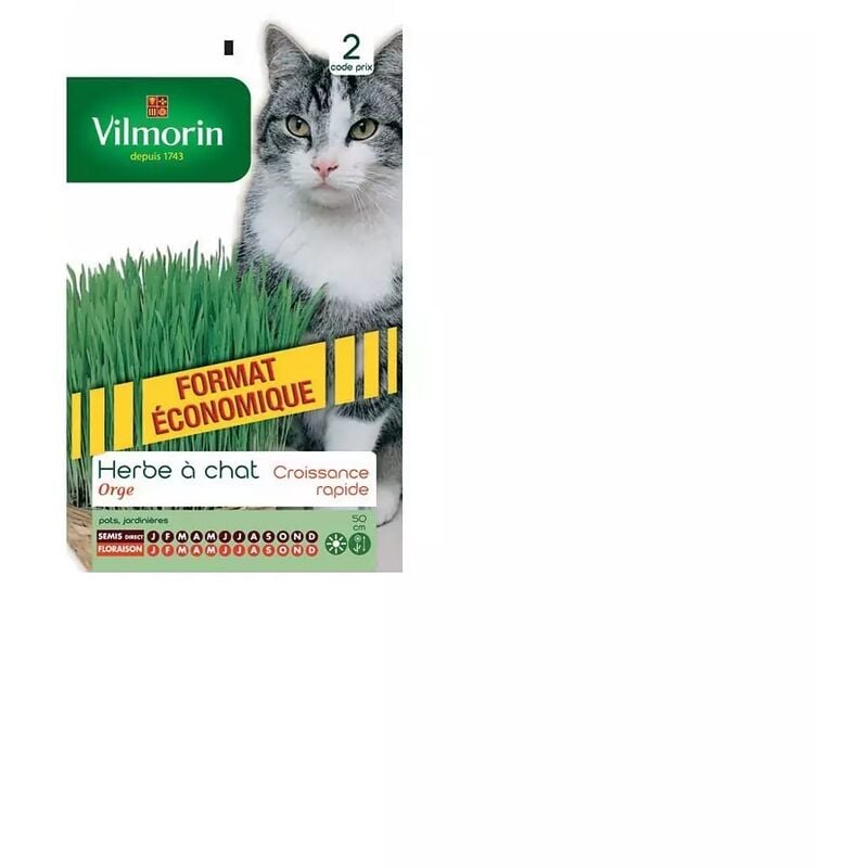Graines d'herbe à chat (orge)
