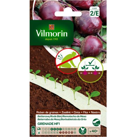 Betterave Grenade HF1 - Ruban de graines - 5 m Vilmorin