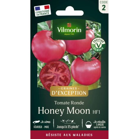 Tomate Honey Moon HF1 Vilmorin (1/3)
