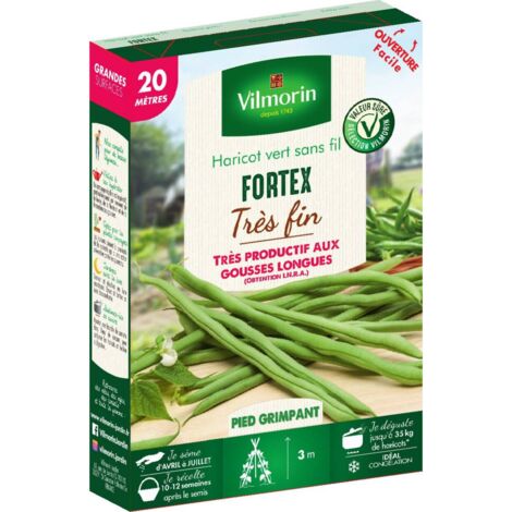Graines de haricot vert sans fil FORTEX – Très longues gousses – Bonne résistance aux maladies – Semis ensoleillé recommandé – Vilmorin