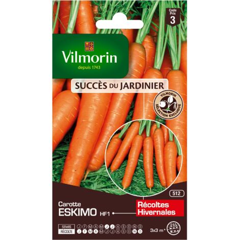Vilmorin – Graines de carotte Eskimo HF1 – Hybride F1 résistante au gel – Semis de mai à juillet – Récolte d'octobre à mars (1/2)