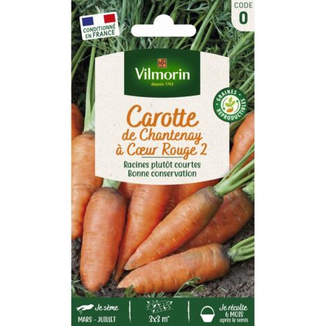 Sachet graines Carotte de Chantenay à coeur rouge 2 (1/2)