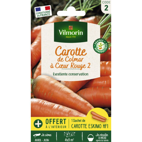 Sachet graines Carotte de Colmar à coeur rouge 2 (1/2)