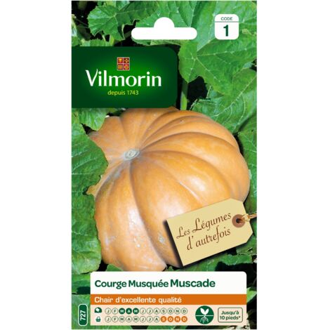 Courge Musquée de Provence - Légumes d'Autrefois Vilmorin (1/2)