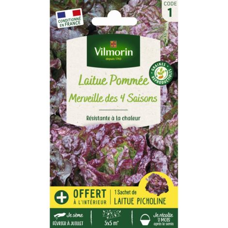 Sachet graines Laitue Merveille des quatre saisons (1/2)