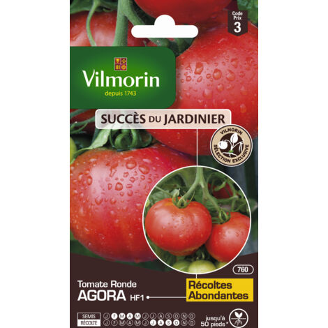 Tomate Agora HF1 Vilmorin