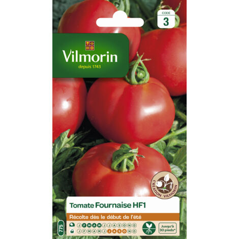 Tomate Fournaise HF1 Vilmorin (1/2)
