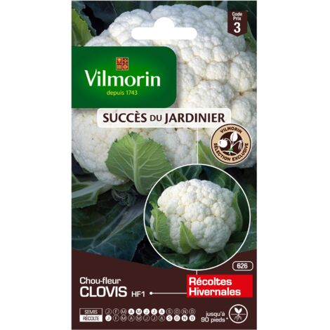 Sachet graines Chou fleur Clovis HF1 (1/3)