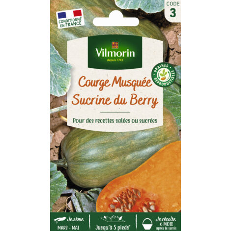 Courge Musquée Sucrine du Berry - Légumes d'Autrefois Vilmorin (1/4)
