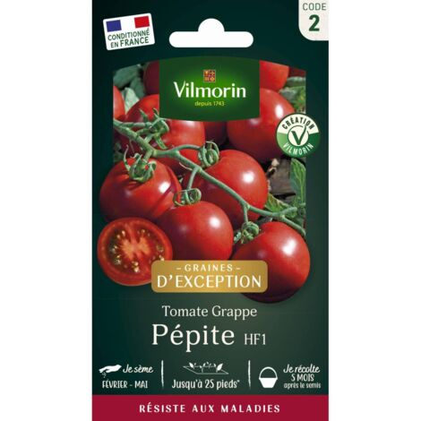 Tomate Pépite HF1 Vilmorin