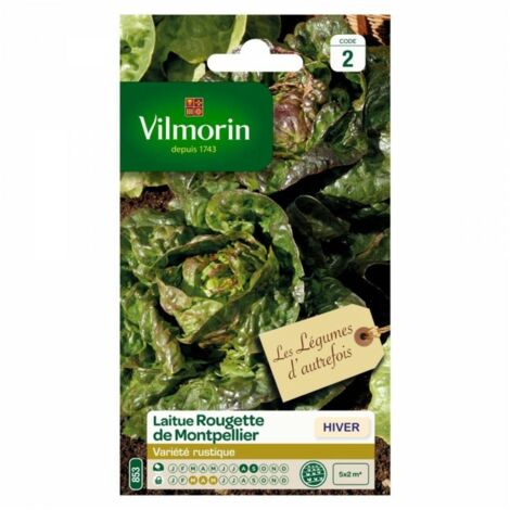 Sachet graines Laitue d'hiver Rougette de Montpellier (1/2)