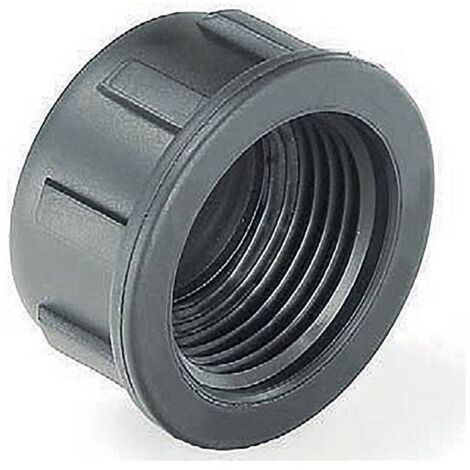 Bouchon femelle BSP en PEHD 2''
