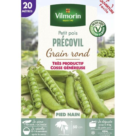Pois Nain à Grain Rond Précovil - 20 m Vilmorin (1/2)