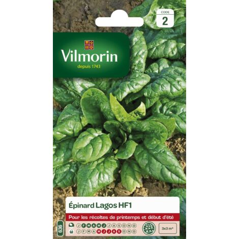 Vilmorin - Epinard Lagos HF1 (1/2)