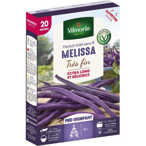 Graines de haricot violet sans fil Melissa – Période de semis d'avril à juillet – Récolte 10 à 12 semaines – 360 graines pour potager – Vilmorin (1/3)