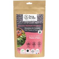 Amendement biochar + mycorhizes pour fleurs et massifs – sachets 250 g à 1 kg Sachet 250 grs