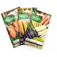 Pack de 3 sachets de graines de carottes originales et multicolores