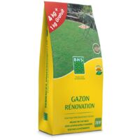 Gazon de rénovation 100% ray-grass anglais – Engrais organique NPK 5-3-6 – Sac de 5 kg pour 250 m² – Germination rapide 7-14 jours – BHS