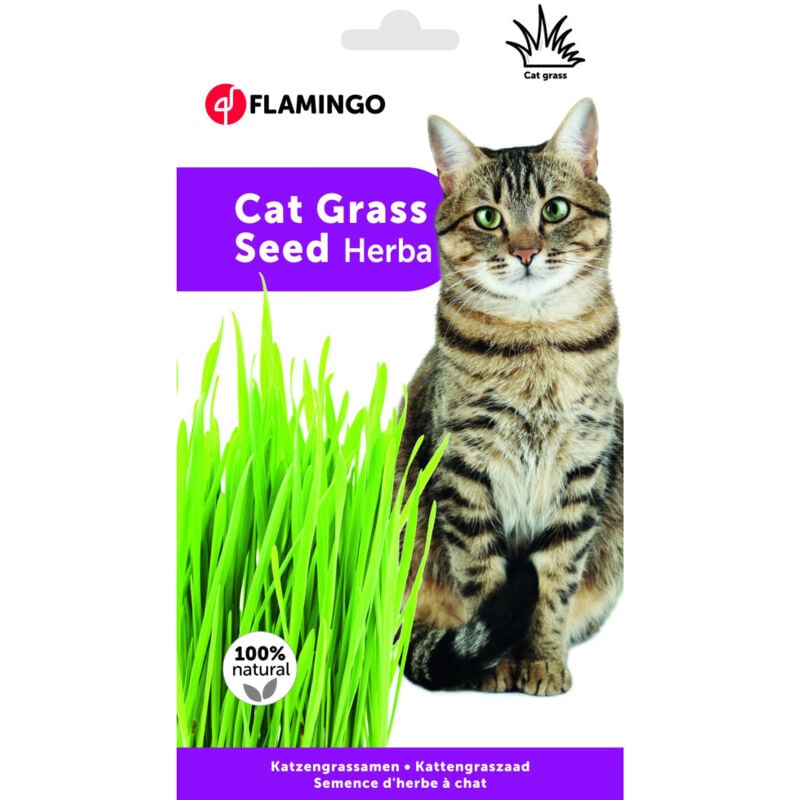 Sachet de semences d'herbe à chat Trixie