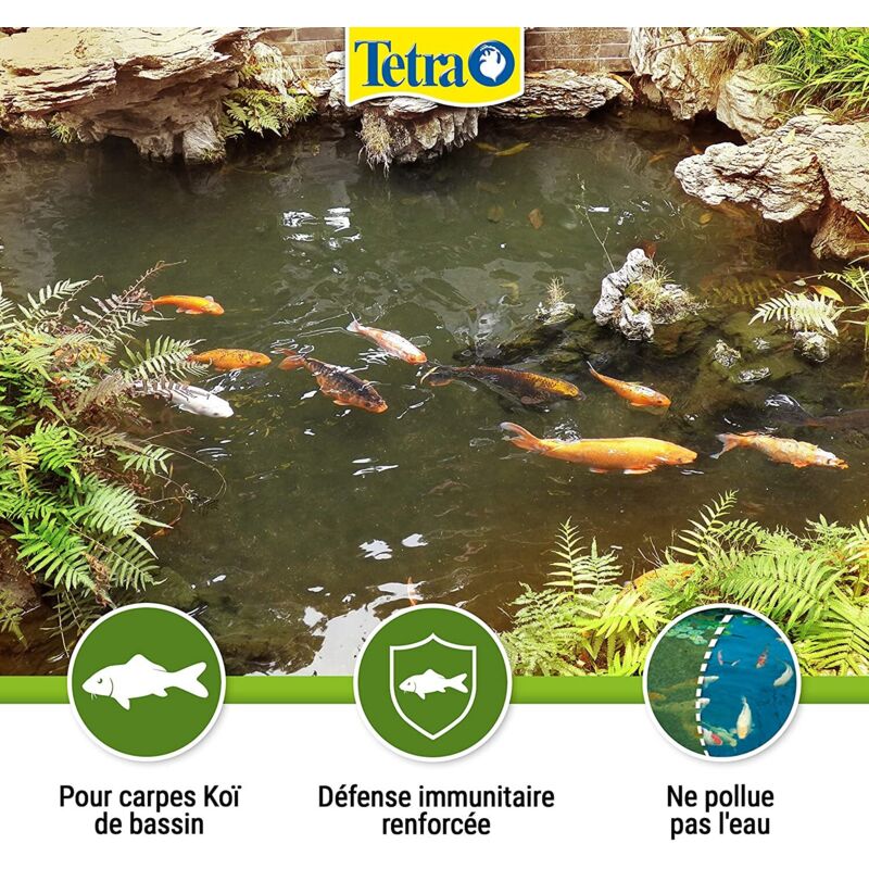 Tetra Pond Koï - Aliment Complet 4L Pour Carpes Koï - Activateur Naturel De Couleurs - Sticks Flottants