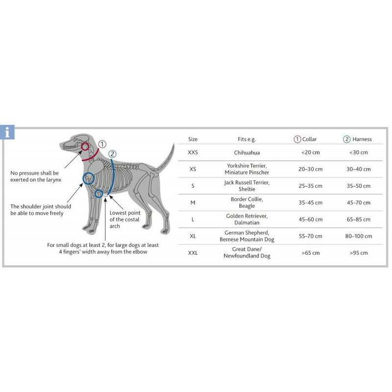 Harnais réglable Simple en sangle nylon pour chien - Coloris au