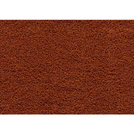 Goldfish Gold Japonais 55g - 100ml Aliment complet pour les poissons Japonais - Tetra