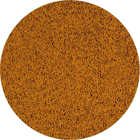 Goldfish Wave Sticks 90 g -250 ml Aliment complet pour les poissons rouge - Tetra