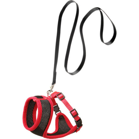 Harnais pour chatons, couleur noir et rouge, taille S, réglable - Flamingo