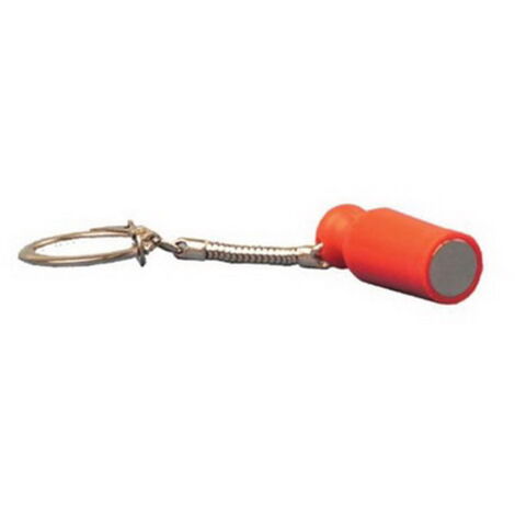 Maytronics Dolphin – Clé magnétique pour alarme piscine Sensor PREMIUM – Compatible avec modèles SOLAR et ELITE – Clé vendue à l'unité – Arrêt définitif des alarmes