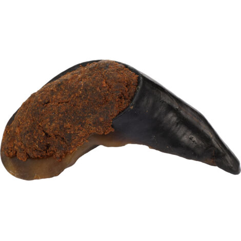 Friandise Nature 1 Sabot de buffle avec poumon 135g pour chien - Flamingo (1/3)