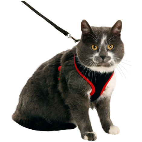 Harnais pour chat, couleur noir et rouge, taille M, réglable - Flamingo