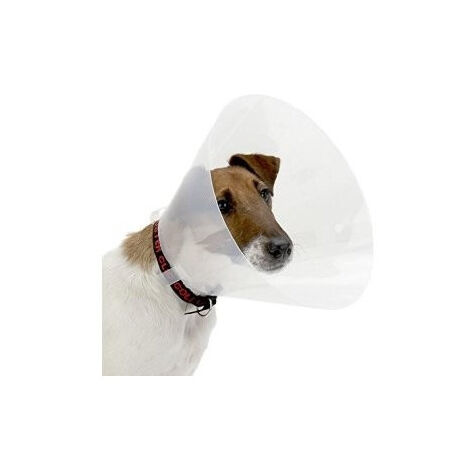 Une collerette de  protection XS- S  22-25 cm diamètre 10 cm pour chien - Trixie