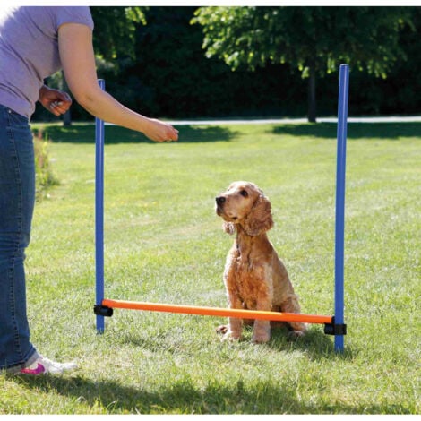Obstacle Agility pour chien 123 × 115 cm, ø 3 cm - Trixie