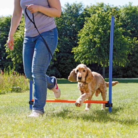 Obstacle Agility pour chien 123 × 115 cm, ø 3 cm - Trixie