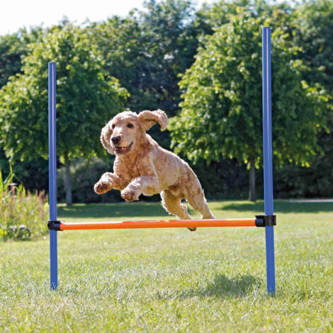 Obstacle Agility pour chien 123 × 115 cm, ø 3 cm - Trixie