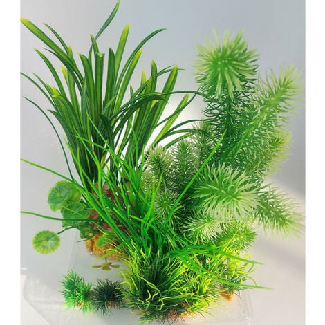 Brumisateur Plantes - Vert - h 16.5 cm