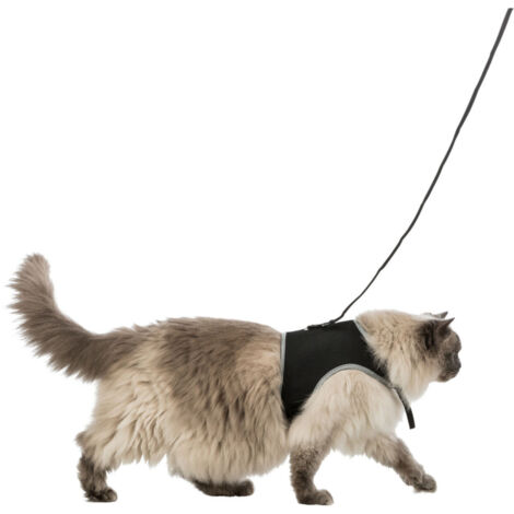 Harnais soft XXL avec laisse pour grand chat - animallparadise (1/4)